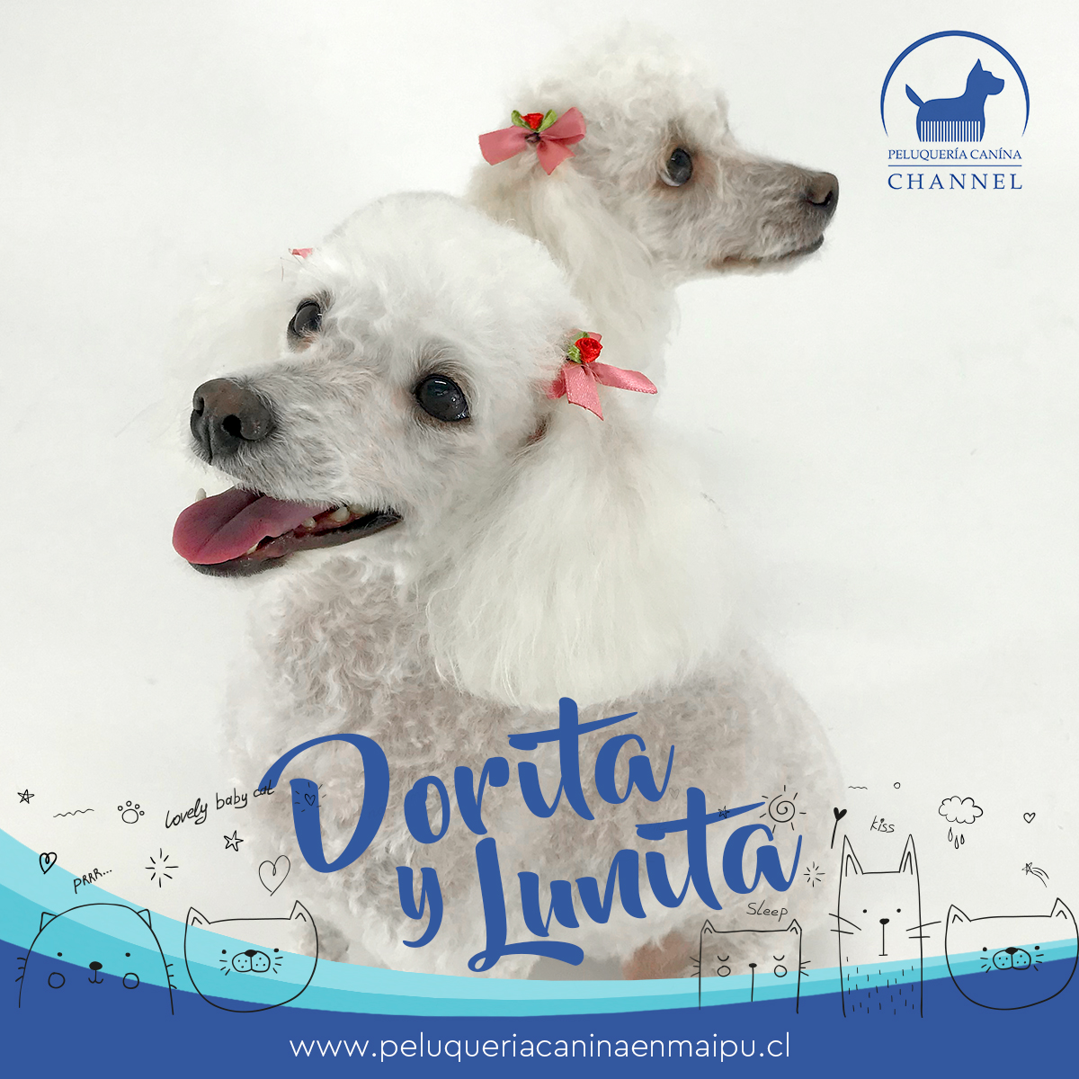Thor Peluquería Canina Maipú