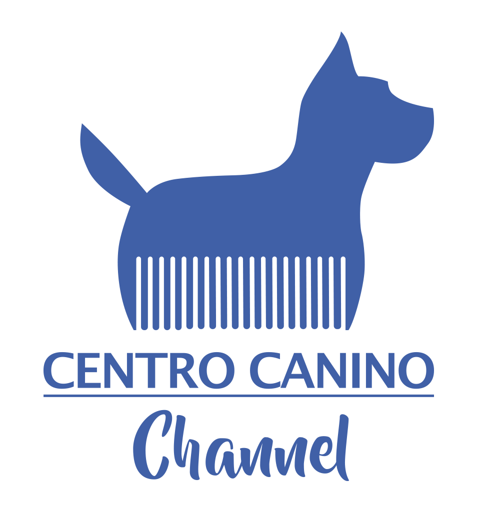 Peluqueria Canina en Maipú